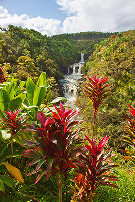Umauma Wasserfälle, Big Island, Hawaii
