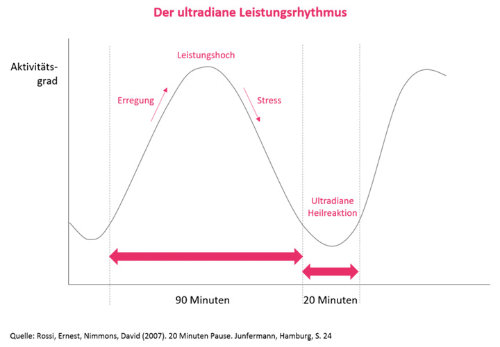 Grafik des ultradianen Leistungsrhythmus